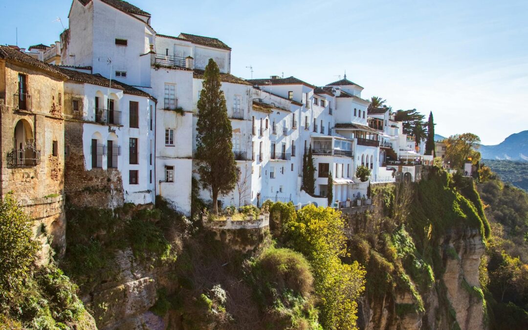Gestión eficiente de grandes carteras inmobiliarias: Claves y Estrategias